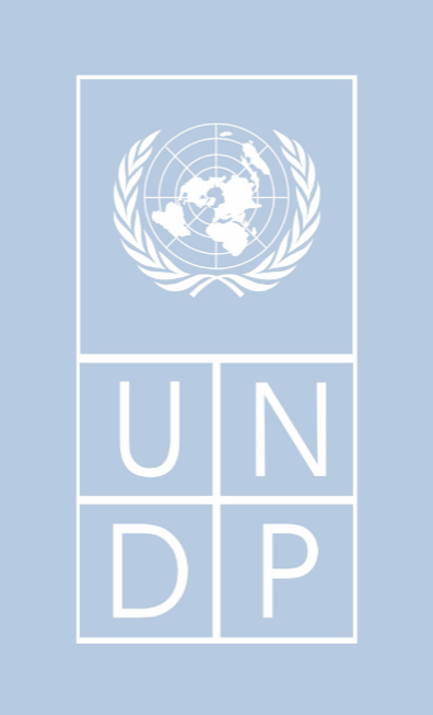 UNDP | GV SOLUTIONS